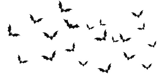 Bats silhouette flying
