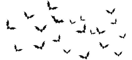 Bats silhouette flying