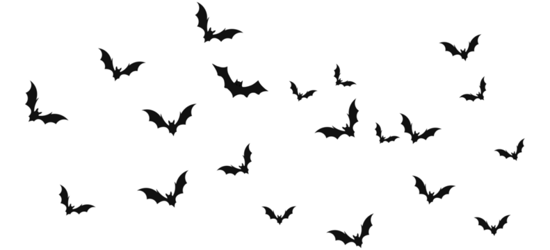 Bats silhouette flying