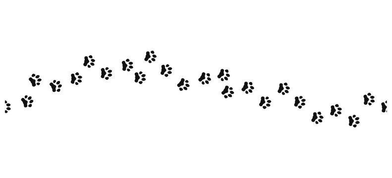 Paw print trail