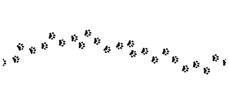 Paw print trail