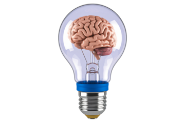 Human brain inside glass light bulb symbolizing creativity innovation and intelligence concept