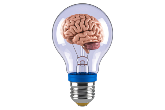 Human brain inside glass light bulb symbolizing creativity innovation and intelligence concept - Powered by Adobe