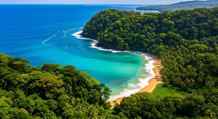 Paradise Coastline: An aerial perspective of a breathtaking coastal scene, where verdant rainforest embraces a pristine sandy beach, meeting the vibrant turquoise sea.
