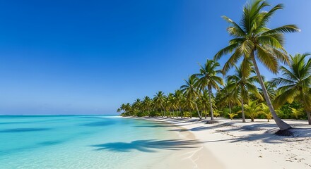 Coastal Paradise: A picturesque coastal scene unfolds under a brilliant blue sky, palm tree gracefully sways in the warm breeze, inviting the viewer to relax and enjoy the serene beauty.