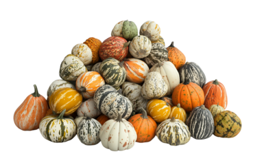 Creative stack of colorful gourds and mini pumpkins reflecting festive fall spirit and decorative beauty isolated on white background PNG