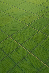 Aerial photograph of green agricultural fields with geometric patterns and irrigation circles.