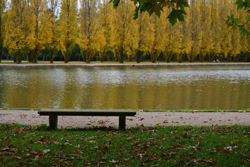 A l'automne le banc au bord du canal