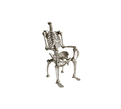 Human skeleton sitting on chair made of bones isolated on transparent background artistic anatomy - Powered by Adobe