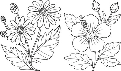 Black and white line art illustration of daisy and hibiscus flowers with leaves, floral outline drawing for coloring book and design