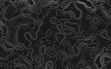 Topographic map pattern background vector. Abstract mountain terrain map background. 