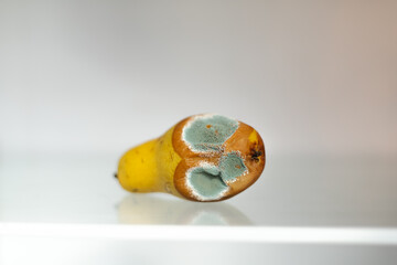 Moldy pear placed on refrigerator shelf under warm light