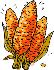 Corn Cobs with Husk Autumn Harvest Maize Vegetable Icon