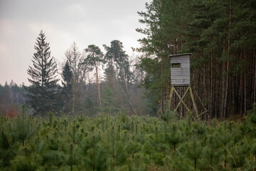 A hunting stand in the forest is an elevated position used for observing and hunting game from a hidden position.