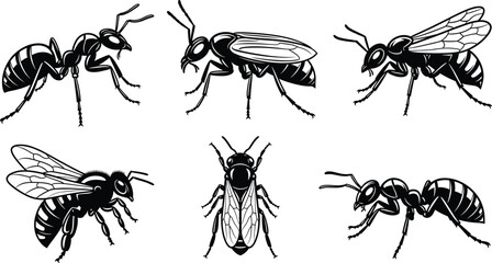Bee and wasp silhouette vector set, insect illustrations, black and white design, flying bugs clipart, entomology icons, winged insect artwork