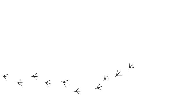 Loop animation of the gray silhouette of the footprints of a bird.  Cartoon funny bird print along the path. Animation of Stork paw prints on a white background. 