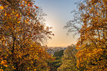 Warm autumn light shining through golden and orange leaves at sunset, with a distant view of the city skyline. The scene captures the peaceful beauty of nature meeting urban life, bathed in a soft gol © blackcat126