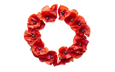 Red poppy petals arranged in a peace shape symbolizing honor sacrifice and the universal wish for tranquility isolated on white background PNG