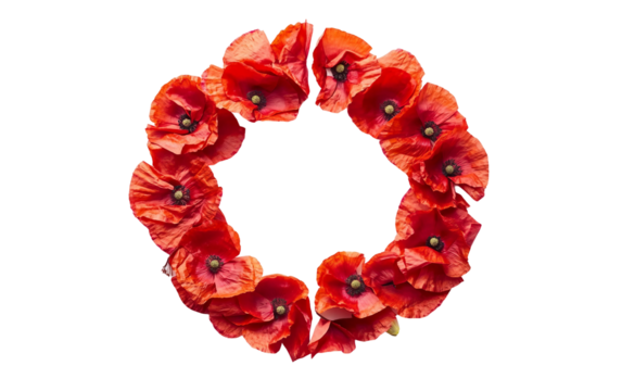 Red poppy petals arranged in a peace shape symbolizing honor sacrifice and the universal wish for tranquility isolated on white background PNG