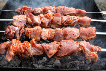 Grilling meat on an outdoor barbecue. Picnic BBQ.
