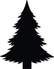 Obraz premium Black silhouette of a tall evergreen pine tree