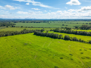 Fototapeta premium Hay production fields for animals, with bales of straw after the harvest, Panama, Chiriqui, Central America - stock photo