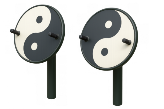 Yin yang fitness equipment promoting balance and exercise