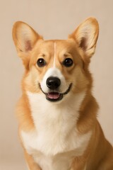 Close-up portrait of a cute white puppy with its tongue out, happy and looking at the camera