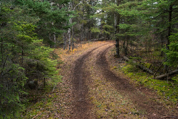 Obraz premium Autumn hike in the Canadian woods