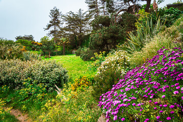 Balade sur l'ile Chaussey