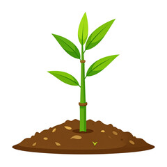 Vector PNG of an animated, bold-colored OK sticker with shine, perfect for social media, messaging, and branding to communicate approval and positivity with maximum visibility