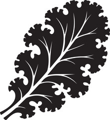 Black and white curly kale leaf silhouette with detailed veins
