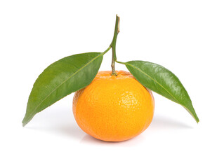 tangerine or mandarin fruit with leaves isolated on white background