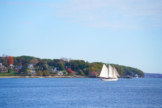 A schooner sails along the coastline under clear skies, its bright sails illuminated by sunlight as it glides across calm blue waters near colorful seaside homes.