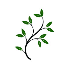 floral vine ornament with spiral leaves