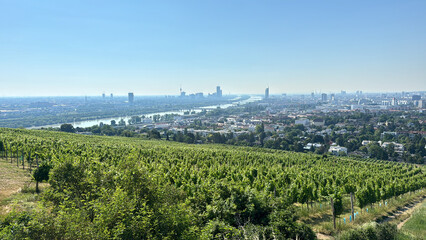 Vineyards overlooking Vienna, Austria, with a scenic view of the city skyline on a sunny day. Beautiful mix of nature, hills, and urban landscape