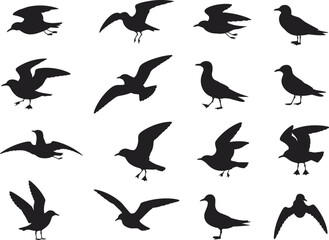 Bird silhouettes in flight and perched, black vector birds on white background, avian shapes for design, pattern, nature, wildlife, illustration, and decoration