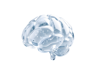 Transparent ice brain sculpture isolated on transparent background