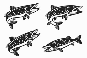 Fototapeta premium Minimalist pike fish icon set in black and color