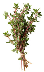 A Fresh Bunch of Thyme: Vibrant Green Herb with Delicate Leaves Showcasing Its Culinary and Aromatic Qualities  isolated on transparent background