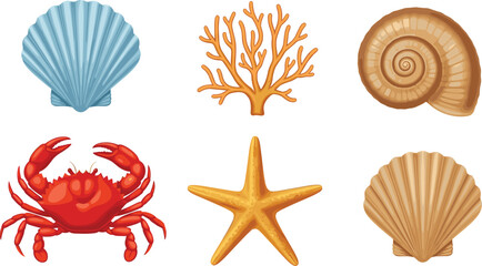 Marine illustration, seashell collection, coral branch, crab drawing, starfish icon, ocean elements, beach theme, underwater life, sea animals, coastal design