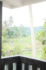 Serene tropical landscape view from balcony, quiet retreat in nature with lush green scenery, perfect for relaxation and vacation inspiration