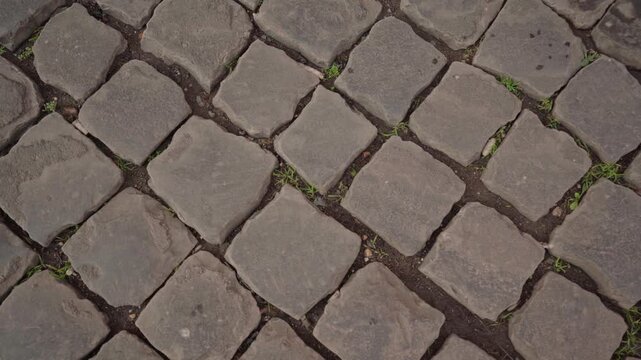 Strada di Sanpietrini a Roma, Trastevere Roma - Italia