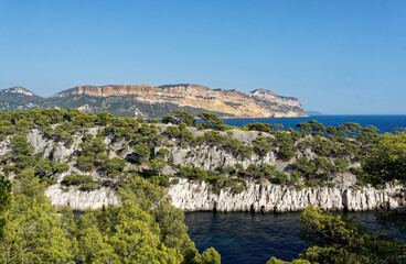 Naklejka premium View of Calanque de Port-Pin, Cassis, Provence, France