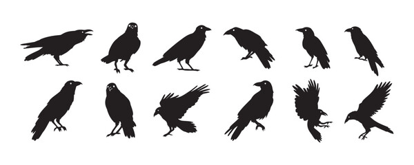 Crow isolated black silhouette set. Crows, raven halloween Dark birds icon clipart
