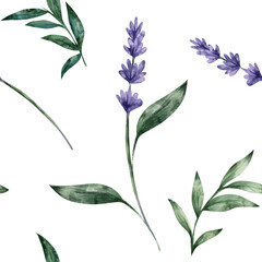 Seamless watercolor pattern with lavender flowers and green twigs. Hand-drawn illustration, white background. Botanical art for printing, textiles.