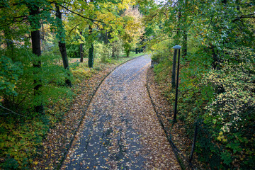 Fototapeta premium Gehweg im herbstlichen Park