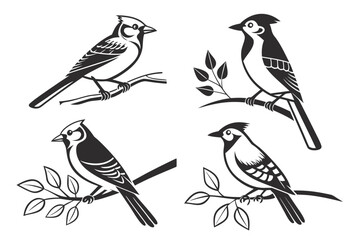 Fototapeta premium Minimalist blue jay perched icon set