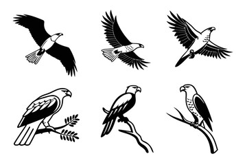 Obraz premium Minimalist brahminy kite icon set with eight designs