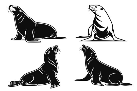 Minimalist sea lion icons for marine life and wildlife themes